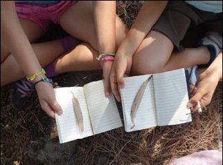 Biólogo Por Um Dia | “Reserva o Verão em Família” | Agenda de Atividades