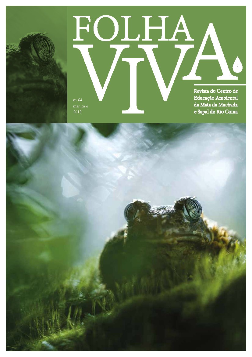 Folha Viva | Boletim nº 64