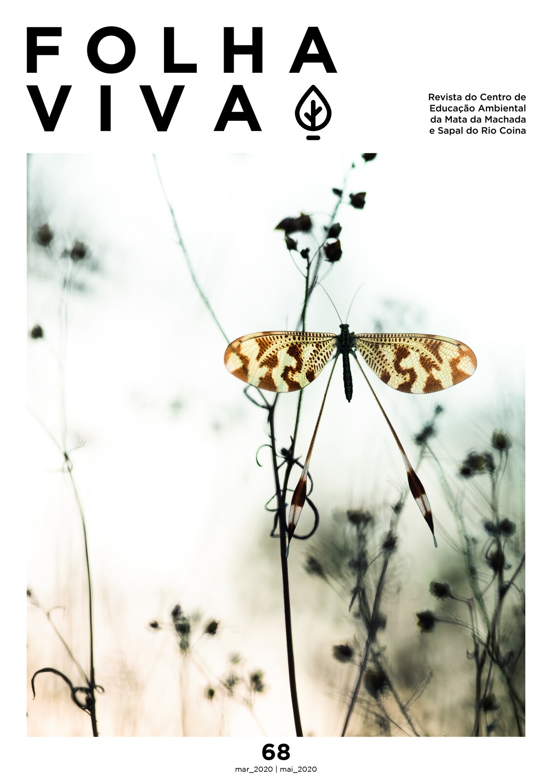 Folha Viva | Boletim nº 68